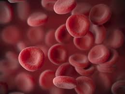 Haemocytometer adalah perangkat awalnya dirancang untuk penghitungan sel darah. Mengenal Eritrosit Dan Fungsinya Bagi Tubuh Hello Sehat