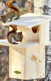 Duncraft Com Duncraft Squirrel Den Squirrel Home Squirrel Carpenter Bee Trap