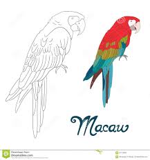 Bird Drawing For Kids Parrot Educational Game Coloring Book Vector Illustration Download From Over 67 Million High Quality Stock Photos Parrots Art Parrot Drawing Art Drawings For Kids