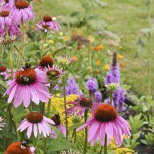 pin on a vogeltuinen