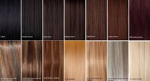 Helpful Color Chart Hair Dye Colors Brown Hair Colors