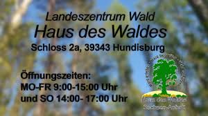 Ein ufo und ein streitfall. Haus Des Waldes In Hundisburg Ausstellung Streitfall Wald Youtube