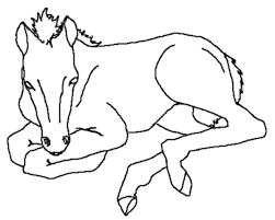 All you need is photoshop (or similar), a good photo, and a couple of minutes. Horse Head Coloring Page Coloring Home