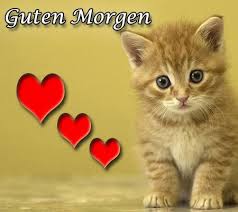 Guten Morgen Fur Whatsapp Schones Bilder Gb Bilder Whatsapp Bilder Gb Pics Facebook Bilder Guten Morgen Liebe Guten Morgen Grusse Guten Morgen Smiley