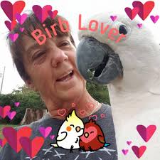 The Animal Behavior Center, LLC