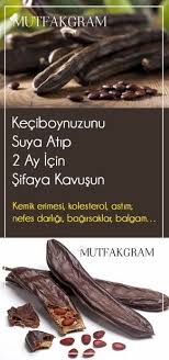 Keciboynuzunu Suya Atip 2 Ay Icin Sifaya Kavusun Kemik Erimesi Kolesterol Health Detox Bitkisel Tarifler Gida Saglikli Gidalar