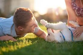 Search for rescue dogs for adoption. Adopt And Rescue The Perfect Dog And Get A Friend For Life Informative Advisor