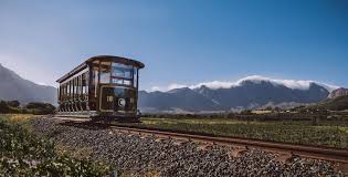 Hop On Hop Off Wine Tours By Cape Town Wine Tours Operator Wine Tour Cape Town Itinerary Cape Town Tourism
