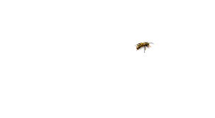 With offices located right on grace road in danvers, ma, the north shore exterminators l is only a phone call away! Residential Commercial Pest Control Sanitizing Disinfecting Services A1 Exterminators Lynn Ma Ants Termites Bed Bugs Rodents