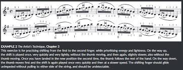 Violinists should practise for no longer than two hours per day