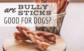 Are bully sticks ok for puppies? Are Bully Sticks Good For Dogs The Tough Truth Caninejournal Com