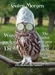 Guten morgen lustige bilder kostenlos für whatsapp. Guten Morgen Von Guten Morgen Lustig Morgen Spruche Lustige Guten Morgen Grusse