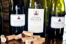 A Few Bottles Served During The Seminar Calerawine Wine Luxurytravel Luxuryresort Wine Bottle Wine Dinner Wines