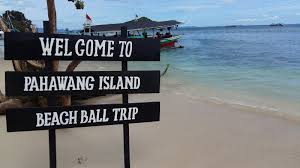 We did not find results for: Backpackeran Ke Pulau Pahawang Lampung