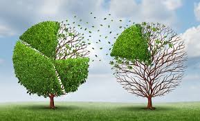 How long does it take to transfer money to fidelity. Transferring Retirement Assets From Vanguard To Fidelity Retire Before Dad