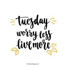 Every tuesday morning, i make a proper eggs breakfast, and we all sit down and eat.. Funny Tuesday Quotes To Be Happy On Tuesday Morning Tuesday Quotes Good Morning Happy Tuesday Quotes Tuesday Quotes Funny