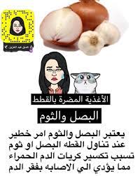البصل والثوم للقطط cat movie posters movies