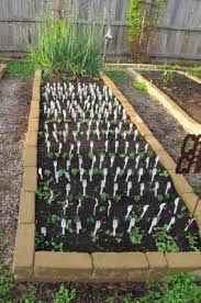 You can use this information to your advantage by wrapping ripening tomatoes in bird netting. How To Keep Squirrels Away From Your Plants Blog Nurserylive Com Gardening In India