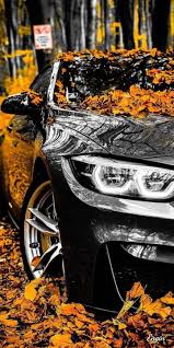 Die vollendung für jedes getunte auto! Pin By Jade On Bike Car Bmw M4 Bmw Bmw Wallpapers