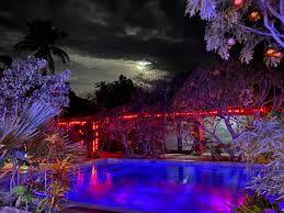 Melihat gambar pemandangan alam yang indah mampu meningkatkan mood dan membangkitkan. Taman Indah Events Events Facebook