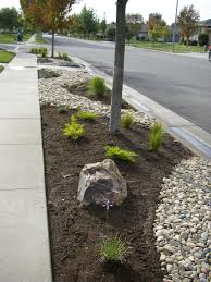 Front Parkway Landscaping With Rocks Sidewalk Landscaping Xeriscape Front Yard