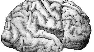 Indiferent cat de pasivi suntem atunci cand ne uitam la. Cam Asa Te SimÅ£i Cand DezvolÅ£i Schizofrenie AcutÄ