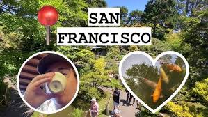 Chill Japanese Tea Garden Vlog!