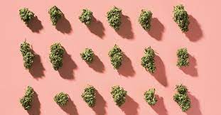 What happens when you quit smoking weed cold turkey. How To Stop Smoking Weed Cold Turkey Gradually With Help