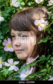 twigs of a wild rose shrub in forest with frost