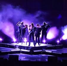 Image result for Olax pentandra