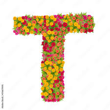Available for both rf and rm licensing. Letter T Alphabet Made From Zinnia Flower Abc Concept Type As Logo Typography Design With Clipping Path Stock Photo Adobe Stock