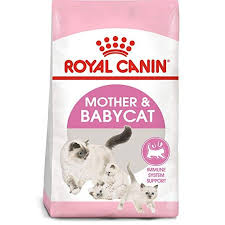 Royal Canin Feline Health Nutrition Mother Babycat Dry Cat Food For Newborn Kittens And Pregnant Or Nursing Cats Feline Health Dry Cat Food Newborn Kittens