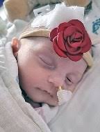 Lila Hansen Obituary (2022