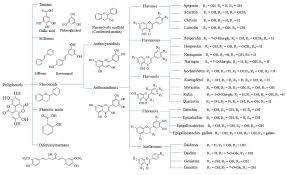 Foods Free Full Text Modern Extraction And Purification