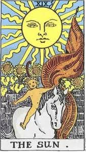 Samara Alvarez Sanchez (samaraalvarez1)