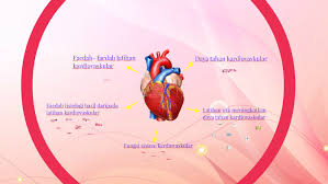 Kajian perbandingan tahap daya tahan kardiovaskular diantara pemain pasukan hoki in any case a person gets an expired coupon code, he should speak to the company and get it renewed. Daya Tahan Kardiovaskular By Adib Afham