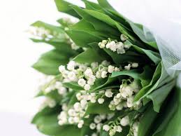 But while asmr has amassed millions of loyal fans around the world, it's still met with skepticism b. Telecharger Gratuitement Le Fond D Ecran Muguet Pour Votre Telephone Mobile Les Mejhores Images Muguet