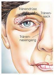 Verstopfter Tranenkanal Symptome Therapie Aumedo