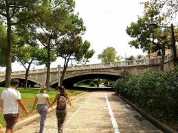 Jardin Del Turia August 2017