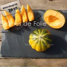 Graines Bio De Melon Noir Des Carmes Sur Grainesdefolie Com