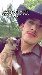 Te Voy A Regalar Un Chivito