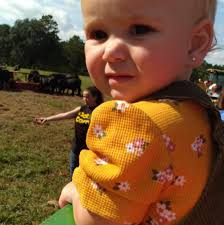 Transport company recommendations from Texas to Kentucky