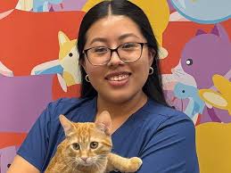 VCA Desert Animal Hospital