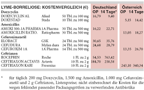 Therapie Der Lyme Borreliose
