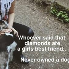 Zitate Tod Eines Hundes Weisheiten Und Zitate