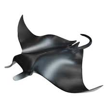 Roche is an equal opportunity employer and strictly prohibits unlawful discrimination based upon an individual's race, color, religion, gender, sexual orientation, gender identity/expression, national origin/ancestry, age, mental/physical disability, medical condition, marital status, veteran status, or any other characteristic protected by law. Maia Borges Manta Rochen Black Buy And Offers On Kidinn