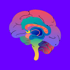 Most research has pointed to the learning and memory hub of the brain, known as the hippocampus, and the surrounding brain regions. How To Remember Anything Using The Memory Palace Technique Wired Uk