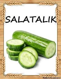 Meryem Yapak Eski Adli Kullanicinin Sebzeler Panosundaki Pin 2020 Salatalik Sebzeler Meyve