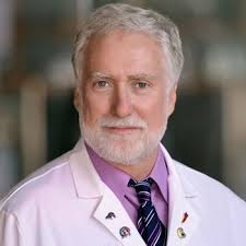 Image of the Month: Lighting up blood vessels in a tumor