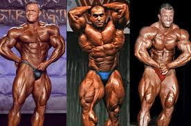 In 2020, world's strongest man competition was in bradenton, florida. Do Pro Bodybuilders Die Younger Than Average The Barbell